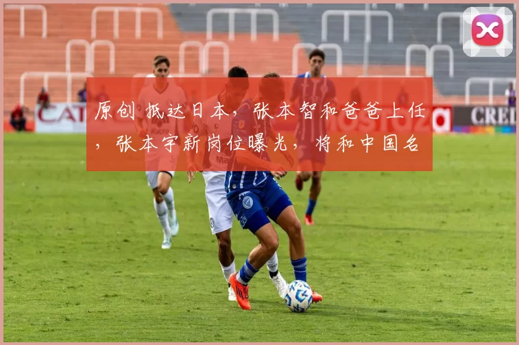 原创 抵达日本,张本智和爸爸上任,张本宇新岗位曝光,将和中国名帅竞争