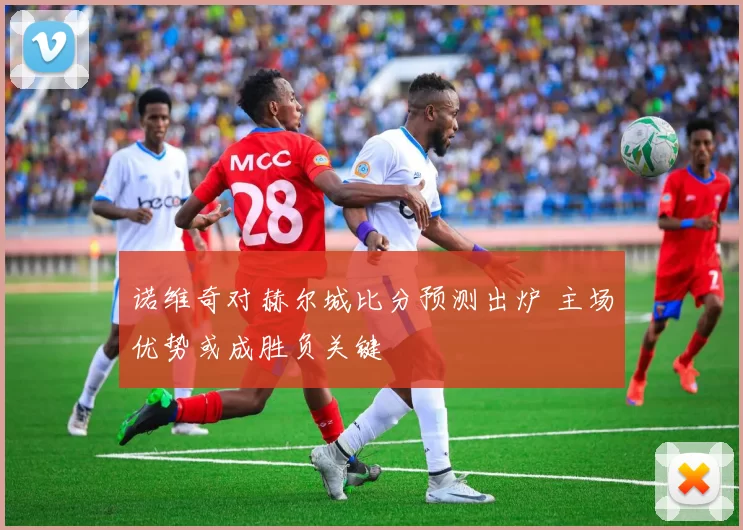 诺维奇对赫尔城比分预测出炉 主场优势或成胜负关键