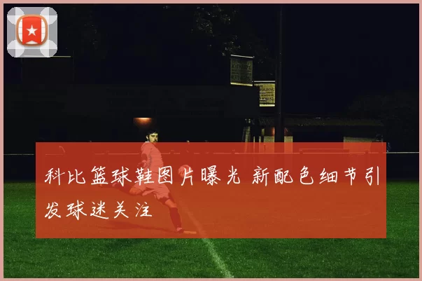 科比篮球鞋图片曝光 新配色细节引发球迷关注