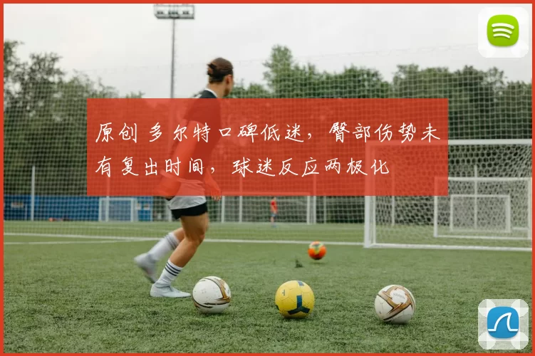 原创 多尔特口碑低迷,臀部伤势未有复出时间,球迷反应两极化